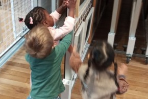 Les minis kids au Frac-Arto !