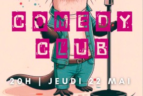 Agrandir l'image - fenêtre modale