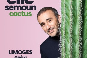 Elie Semoun "Cactus"