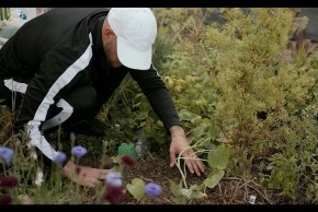 Projection "Jardins intérieurs" d'Olivier Gil