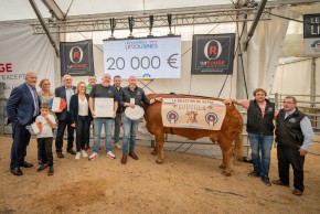 11ème JOURNÉES LIMOUSINES OR ROUGE
DU 18 AU 20 OCTOBRE 2025 - LIMOGES, CHAMP DE JUILLET
