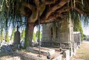 Printemps des cimetières : les femmes dans la Résistance