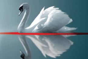 Crime – création du Théâtre de l’Écale