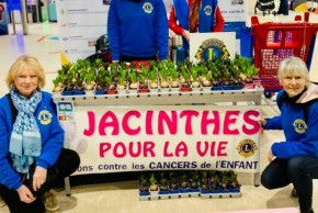 VENTE DE JACINTHES AU PROFIT DES ENFANTS CANCÉREUX