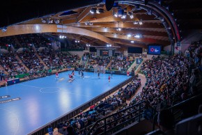 Handball : Limoges - Sélestat