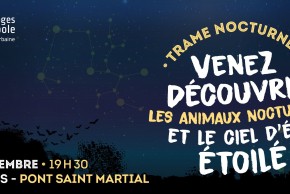 Trame nocturne - Venez découvrir les animaux nocturnes et le ciel d'été étoilé