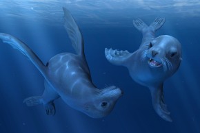 Casque à réalité virtuelle : Les fonds marins