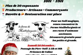 Marché de Noël Verneuil Sur Vienne