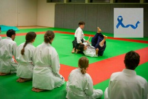 l'AÏKIDO HARMONIE CLUB vous ouvre ses portes...