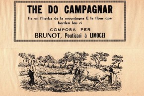 Conférence "Entre vilauds et bicanards : la société limousine à l'épreuve de la modernité"