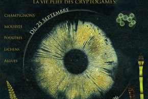 CryptORIgamie 3 / Ateliers - Visites
