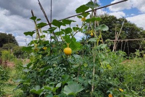 Initiez vous à la Permaculture