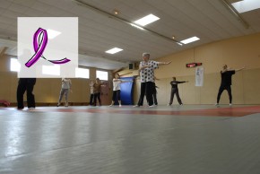 La section Taichi Chuan de Limoges Landouge Loisirs vous ouvre ses portes...