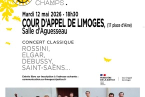 Concert classique à la cour d'appel avec l'orchestre « La clef des champs »