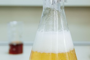 Atelier fête de la science