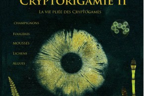 CryptORIgamie 2 / Ateliers - Visites