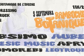 Les Bamboches Botaniques - Djs sets et vide-dressing