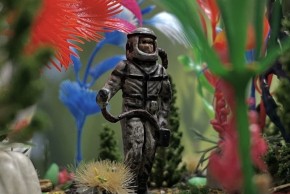 Exposition Space Oddity : Pierre-Charles Jacquemin