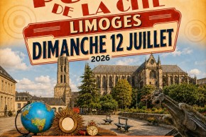 Les puces de la cité