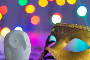 Mes premiers pas au musée - Tournette la chouette se déguise !