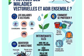 Conférence grand public, Moustique tigre