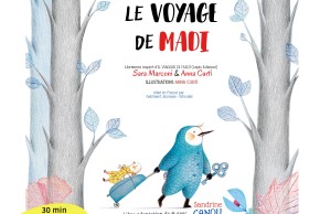 Agrandir l'image - fenêtre modale