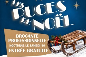 Puces de Noël de Limoges : 3 jours de chine au Grand Palais (13, 19 et 20 décembre)