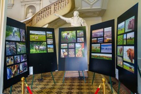 Exposition photographique "Haute-Vienne, force de la nature"