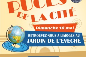 Les puces de la cité