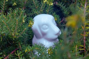 Mes premiers pas au musée - Mon merveilleux jardin de porcelaine