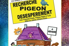 Recherche pigeon désespérément