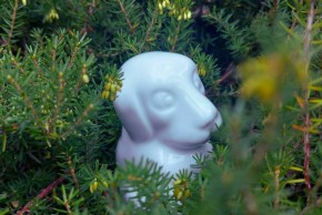 Mes premiers pas au musée - Un merveilleux jardin de porcelaine