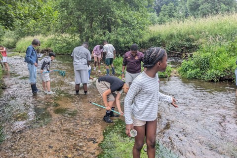 Atelier Les petites bêtes aquatiques