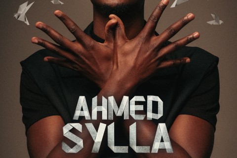 Ahmed Sylla "Origami"