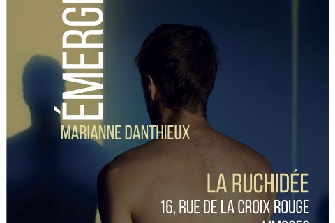 Vernissage : Émergence de Marianne Danthieux