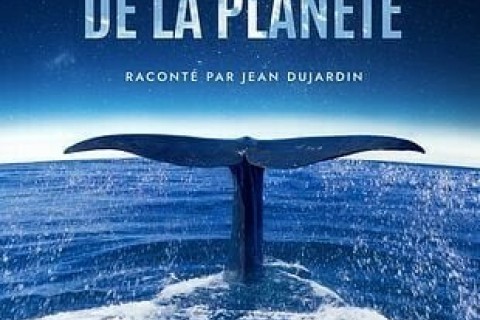 Nos petits RDV du mercredi aprèm