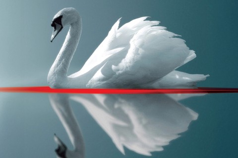 Crime – création du Théâtre de l’Écale