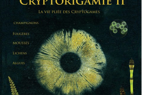 CryptORIgamie 2