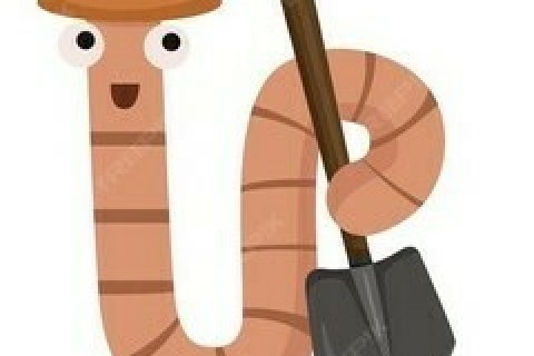 Les supers pouvoirs des sols