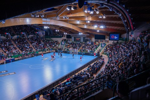 Handball : Limoges - Sélestat