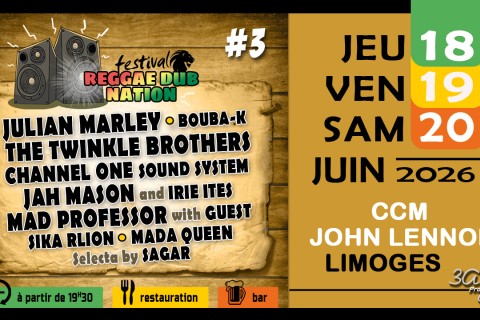 REGGAE DUB NATION #3