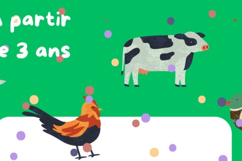 Heure du conte : Pas bêtes les bêtes