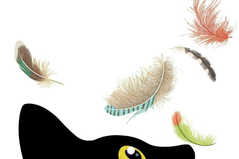 Atelier Oiseaux réels ou imaginaires : collages