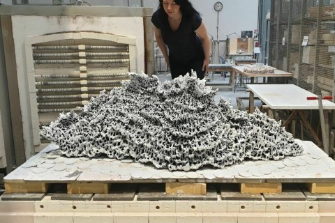 Visite thématique - Rencontre avec Anaïs Lelièvre