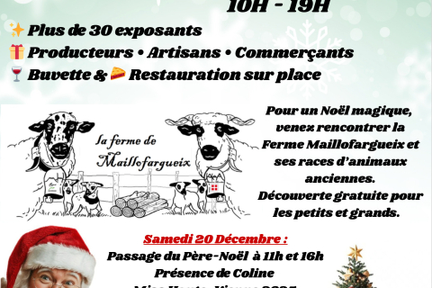 Marché de Noël Verneuil Sur Vienne