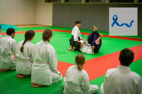 l'AÏKIDO HARMONIE CLUB vous ouvre ses portes...