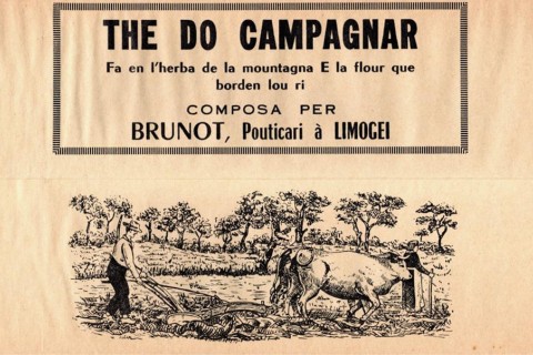 Conférence "Entre vilauds et bicanards : la société limousine à l'épreuve de la modernité"