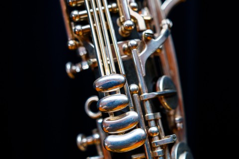 Audition du département Bois