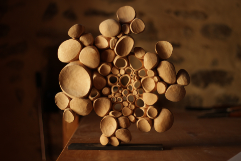 EXPO | Cellules de Matière