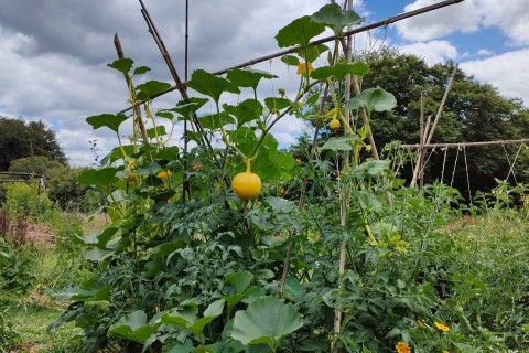 Initiez vous à la Permaculture